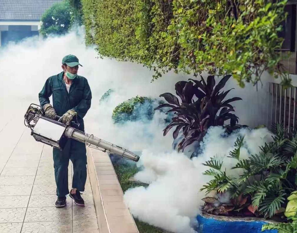 Fumigation & Sanitization