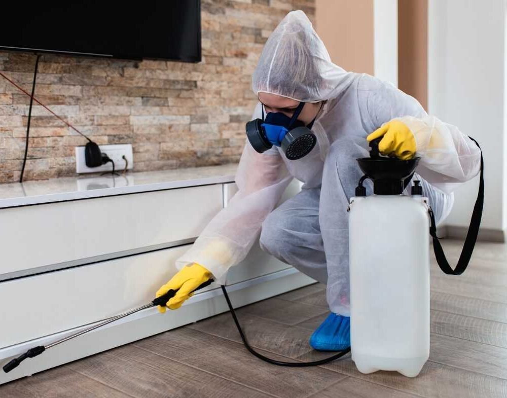 General Pest Solutions (1)