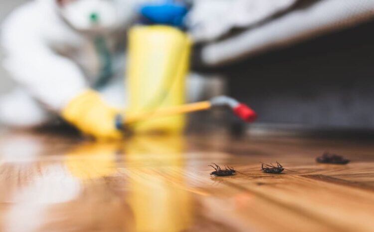 General Pest Solutions